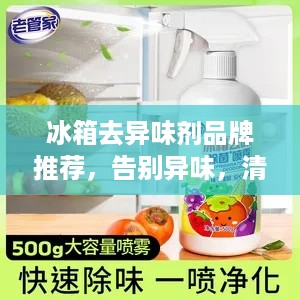 冰箱去异味剂品牌推荐，告别异味，清新生活从芯开始