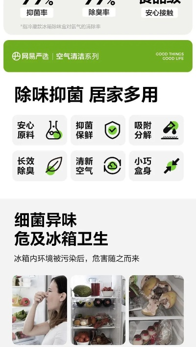 冰箱去异味剂品牌推荐，告别异味，清新生活从芯开始