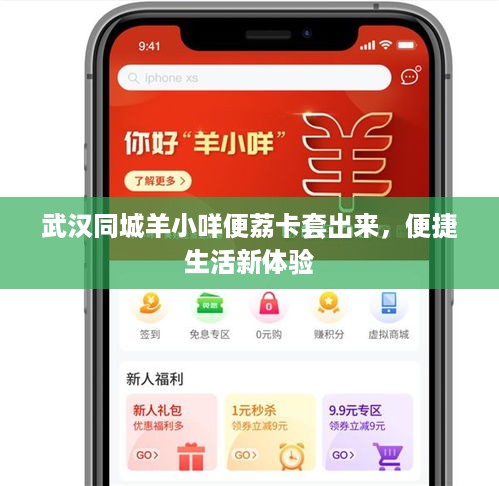 武汉同城羊小咩便荔卡套出来，便捷生活新体验