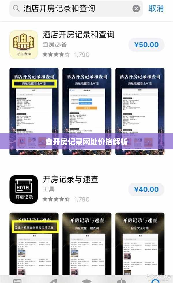 查开房记录网址价格解析