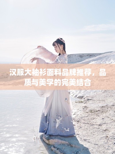 汉服大袖衫面料品牌推荐，品质与美学的完美结合