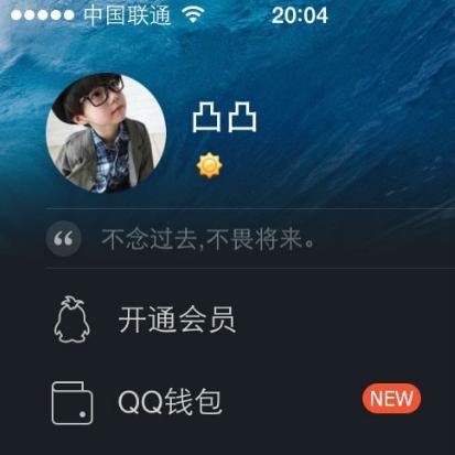 谁懂怎样查看别人的QQ聊天信息记录？