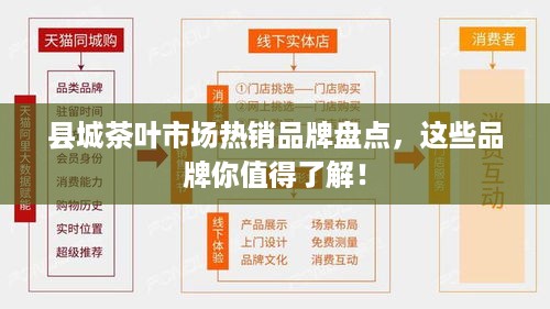 县城茶叶市场热销品牌盘点，这些品牌你值得了解！