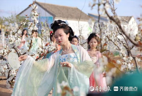 探寻汉服之美—揭秘仿杨贵妃汉服品牌的风采