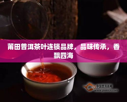 莆田普洱茶叶连锁品牌，品味传承，香飘四海