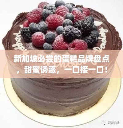新加坡必尝的蛋糕品牌盘点，甜蜜诱惑，一口接一口！