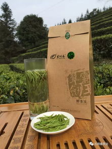 揭秘黄梅—探寻知名茶叶品牌背后的故事