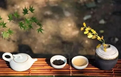 湄潭茶叶品牌项链—时尚与茶文化的完美融合，美得不可方物！