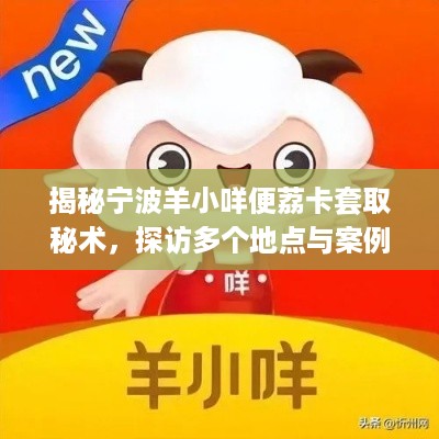 揭秘宁波羊小咩便荔卡套取秘术，探访多个地点与案例分析