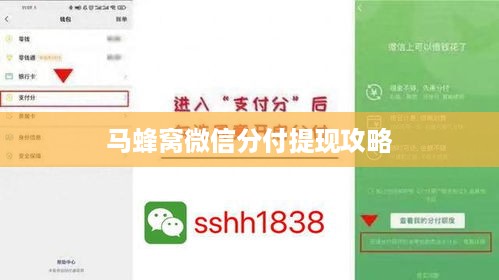 马蜂窝微信分付提现攻略