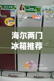 海尔两门冰箱推荐品牌，实用与品质并存的选择