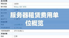 服务器租赁费用单位概览