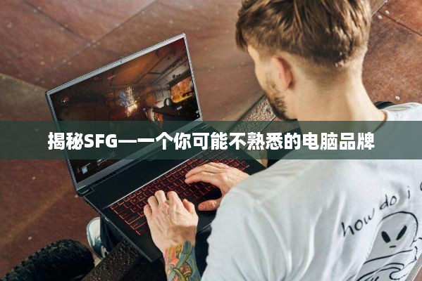 揭秘SFG—一个你可能不熟悉的电脑品牌