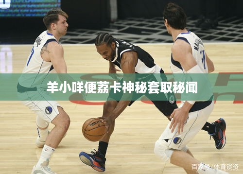 羊小咩便荔卡神秘套取秘闻
