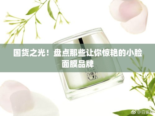 国货之光！盘点那些让你惊艳的小脸面膜品牌
