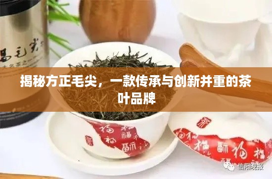 揭秘方正毛尖，一款传承与创新并重的茶叶品牌