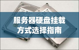 服务器硬盘挂载方式选择指南