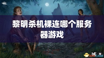 黎明杀机裸连哪个服务器游戏