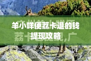 羊小咩便荔卡退的钱提现攻略