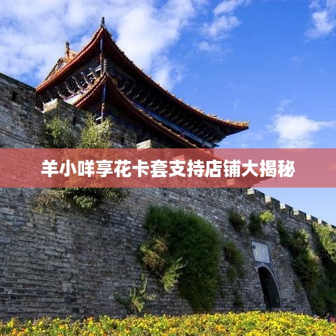 羊小咩享花卡套支持店铺大揭秘