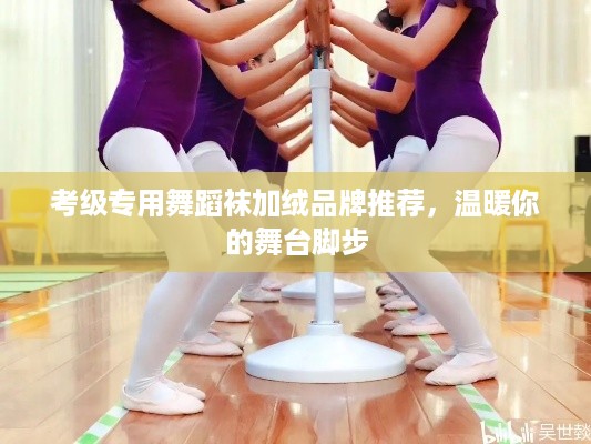 考级专用舞蹈袜加绒品牌推荐，温暖你的舞台脚步