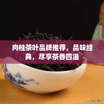 肉桂茶叶品牌推荐，品味经典，尽享茶香四溢