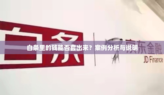 白条里的钱能否套出来？案例分析与说明