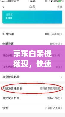 京东白条提额现，快速通道与案例分析