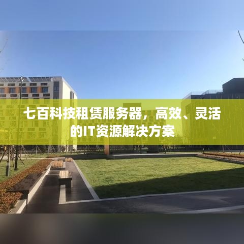 七百科技租赁服务器，高效、灵活的IT资源解决方案
