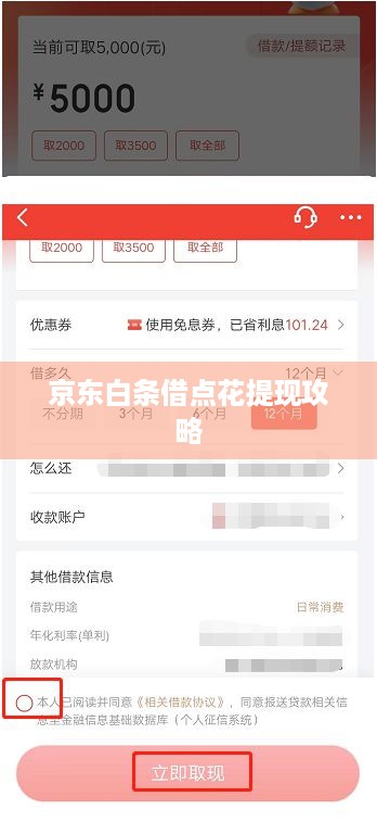 京东白条借点花提现攻略