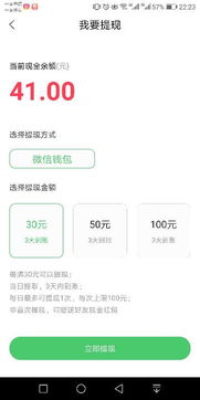 白条提现计算器，轻松掌握提现技巧，案例解析与实用指南