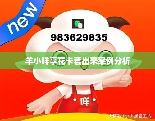 羊小咩享花卡套出来案例分析