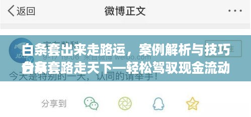 白条套出来走路运，案例解析与技巧分享
白条套路走天下—轻松驾驭现金流动