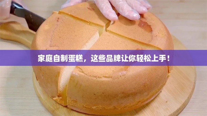 家庭自制蛋糕，这些品牌让你轻松上手！