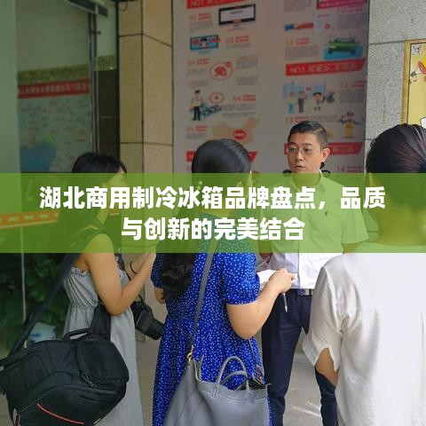 湖北商用制冷冰箱品牌盘点，品质与创新的完美结合