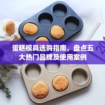 蛋糕模具选购指南，盘点五大热门品牌及使用案例