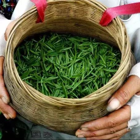 茶叶品牌建设与推广，从茶香四溢到市场独占鳌头