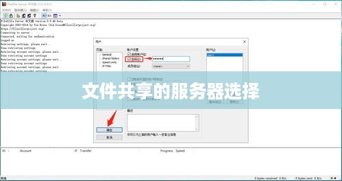 文件共享的服务器选择