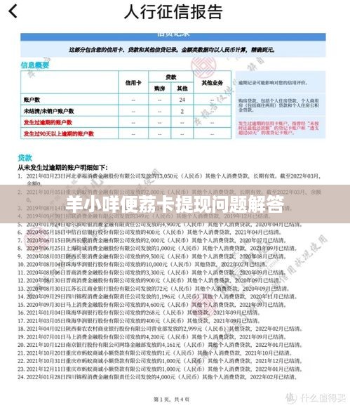 羊小咩便荔卡提现问题解答