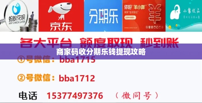 商家码收分期乐钱提现攻略