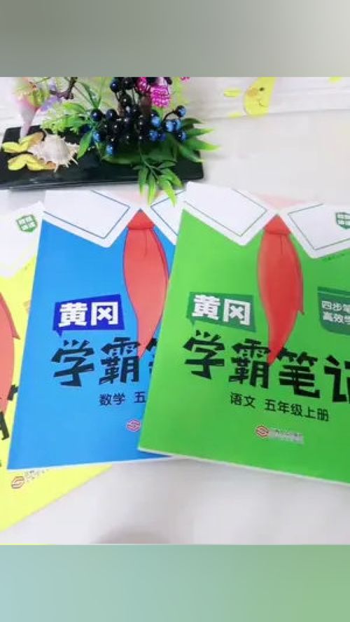学生党必备！盘点几款适合学生使用的卫生巾品牌及特点