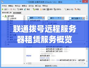 联通拨号远程服务器租赁服务概览