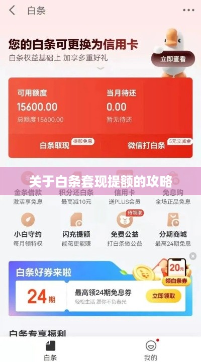 关于白条套现提额的攻略