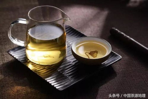 茶叶品牌盒装种类大盘点，从传统到创新，满足不同需求