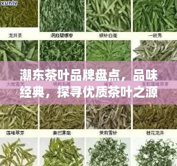 潮东茶叶品牌盘点，品味经典，探寻优质茶叶之源