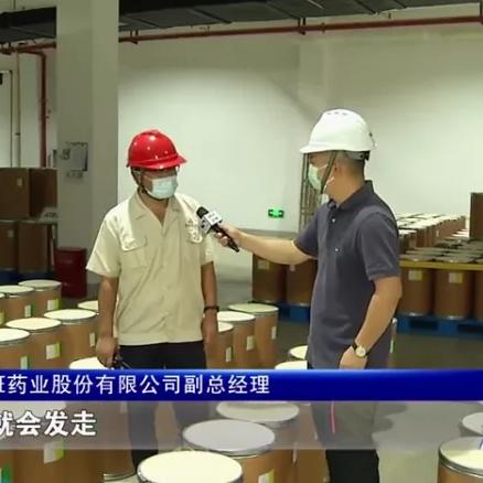 珠海存储服务器租赁市场概览与案例分析