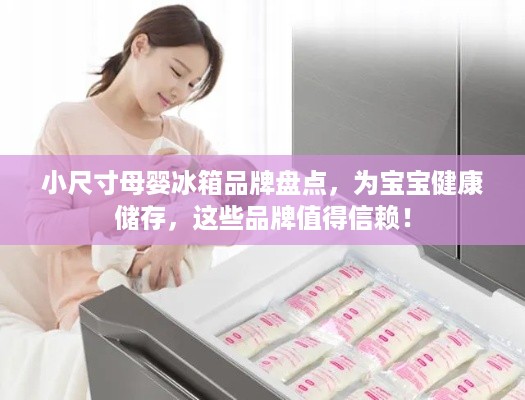 小尺寸母婴冰箱品牌盘点，为宝宝健康储存，这些品牌值得信赖！
