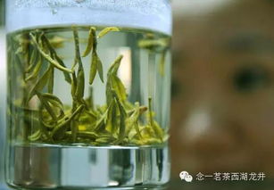 龙井茶叶官方推荐品牌盘点，品味正宗，尽在这一篇！