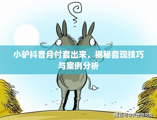 小驴抖音月付套出来，揭秘套现技巧与案例分析