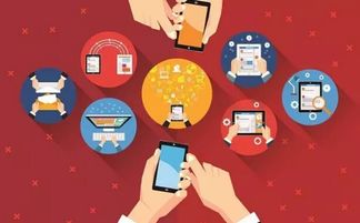 小驴抖音月付套出来，揭秘套现技巧与案例分析